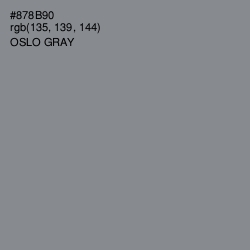 #878B90 - Oslo Gray Color Image